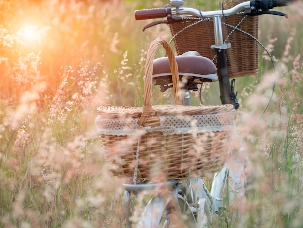 Bicicleta con canasta y guitarra de flores en el prado