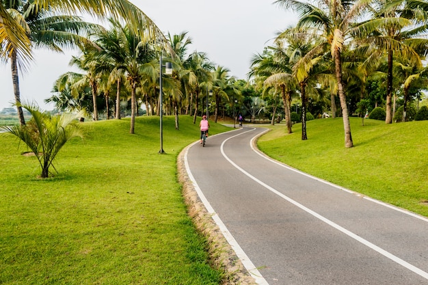 Bicicleta de carretera en el jardín de coco y la naturaleza