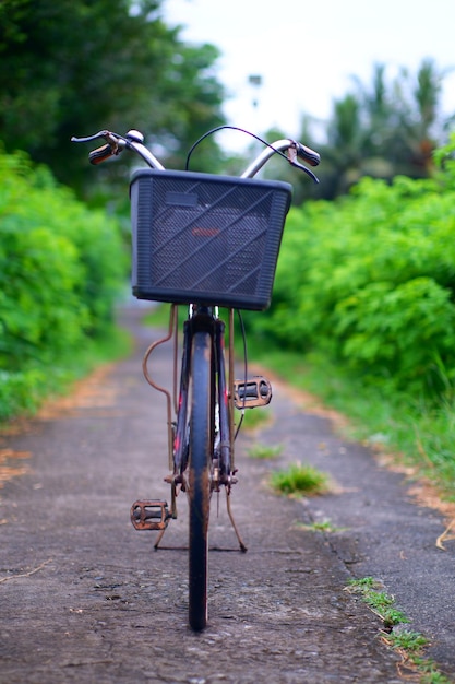 Una bicicleta con una cesta en la parte trasera.