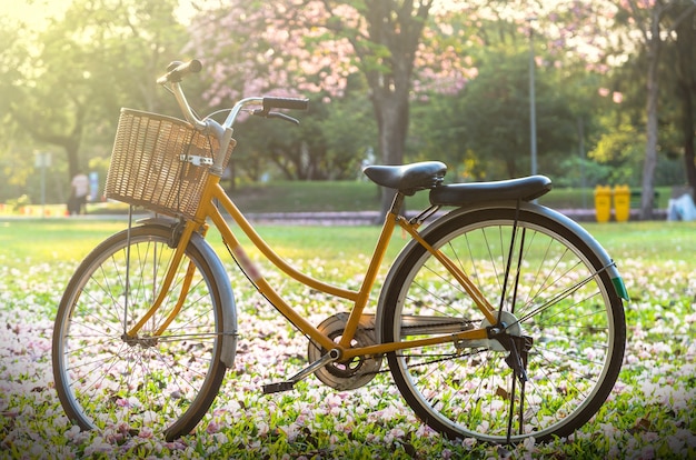 Bicicleta clásica al atardecer en el parque o bosque profundo