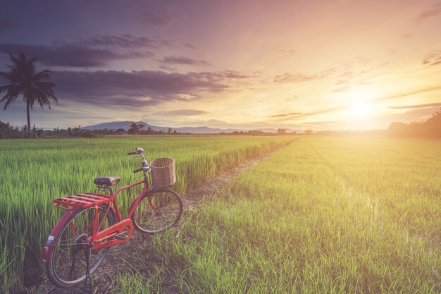 Bicicleta clásica estilo rojo de Japón en el green