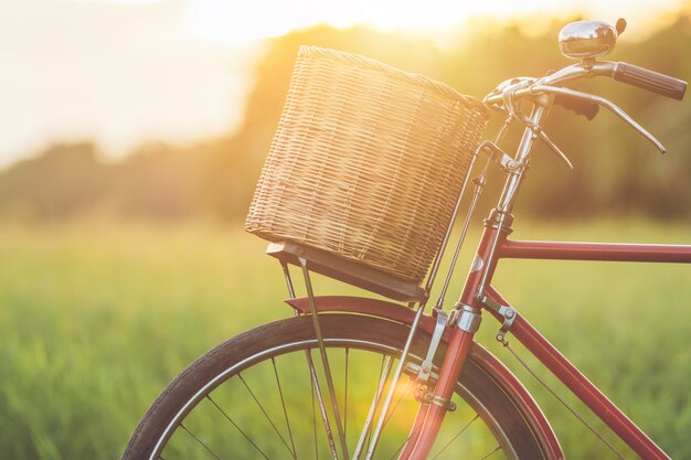 Bicicleta clásica roja estilo de Japón en el campo verde