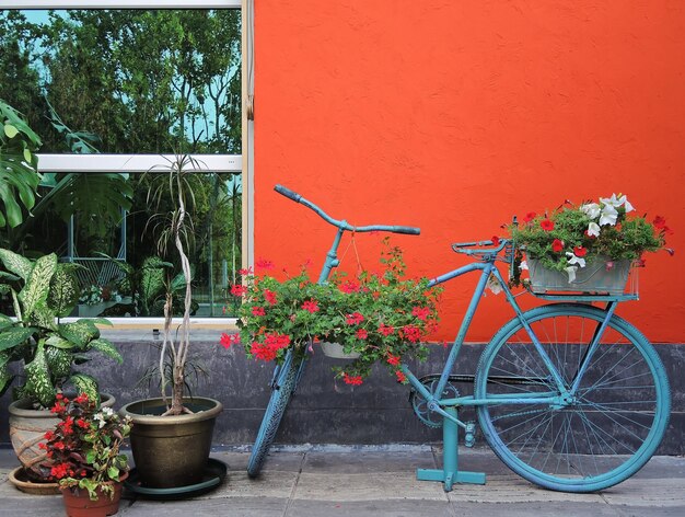 bicicleta clássica azul com flores na parede e janela laranja