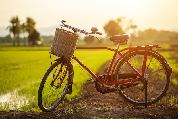 Bicicleta clássica de estilo vermelho Japão no campo verde