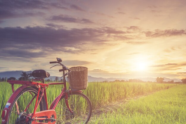 Foto bicicleta clássica de estilo vermelho japão no verde