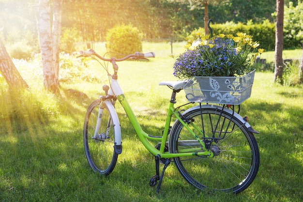Bicicleta com uma cesta de flores amarelas no jardim de verão