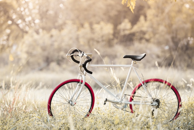 Bicicleta de deporte Vintage con campo de hierba de verano; estilo de filtro vintage