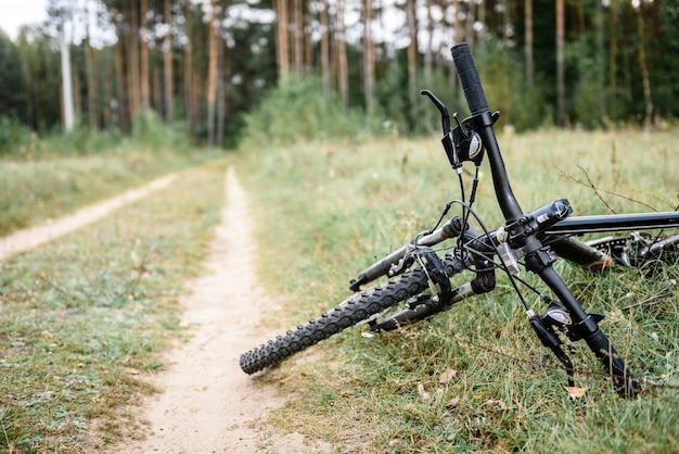 Bicicleta deportiva en campo de hierba de verano.