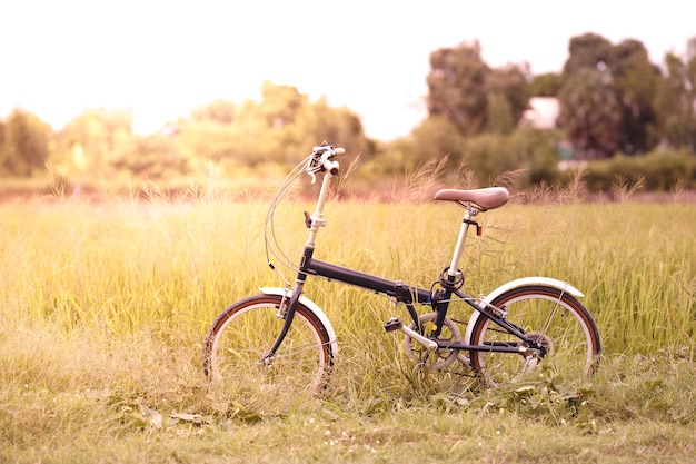 Bicicleta dobrável no campo de grama