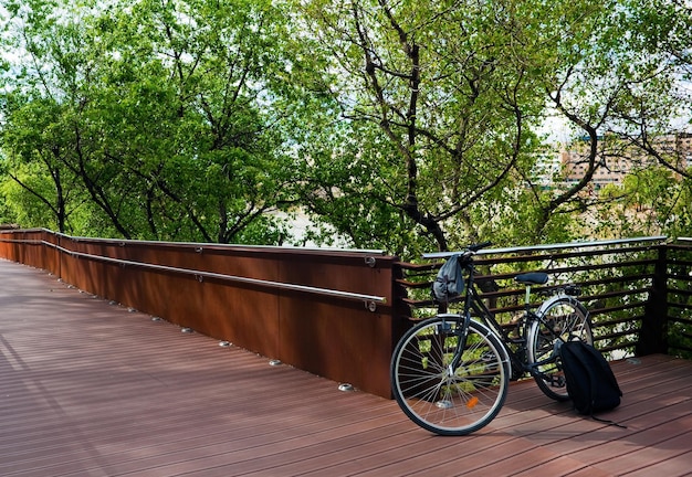 bicicleta e natureza