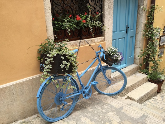 Bicicleta em planta em vaso contra o edifício