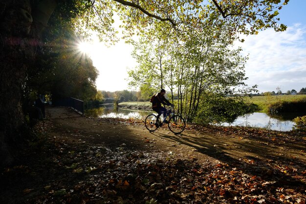 Foto bicicleta entre árvores contra o céu