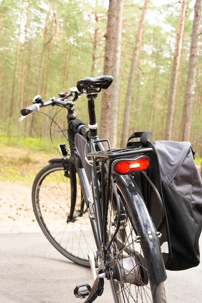 Bicicleta estacionada en el sendero del bosque sendero para bicicletas en el bosque bicicleta luz trasera bolsa de bicicleta