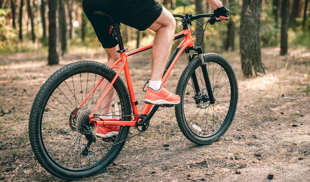 Bicicleta con hombre cabalgando por el bosque de pinos