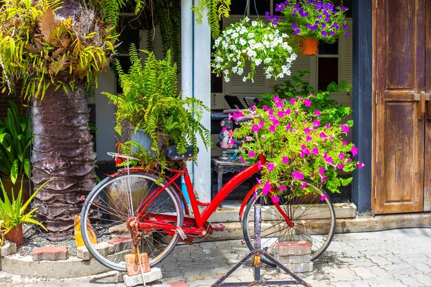 Bicicleta con macetas como decoración para el exterior del edificio.