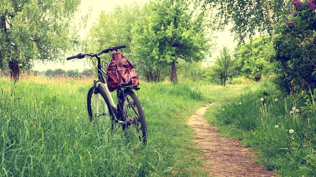 Bicicleta con mochila en el maletero en el fondo de la naturaleza en verano