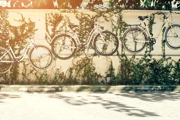 Foto bicicleta montada en la pared