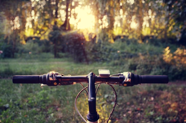 Bicicleta de montaña en el bosque al atardecer