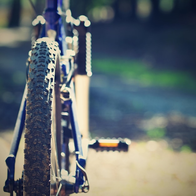 Foto bicicleta de montaña en el bosque deporte en la naturaleza