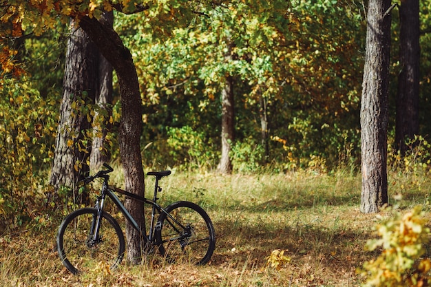 Bicicleta de montaña en el bosque de otoño cerca de un árbol. Fondo de estilo de vida muy activo