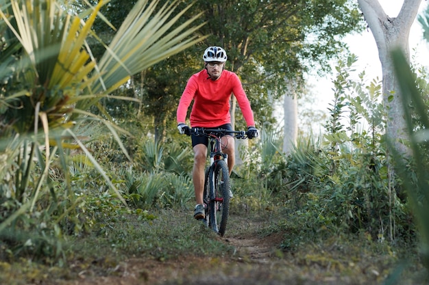 Bicicleta de montaña en bosque tropical.