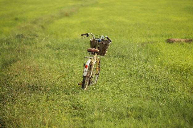 bicicleta na grama verde