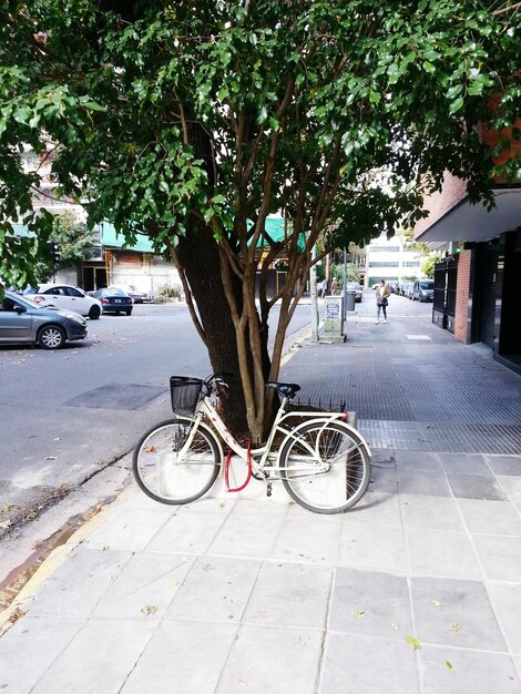Foto bicicleta na rua da cidade