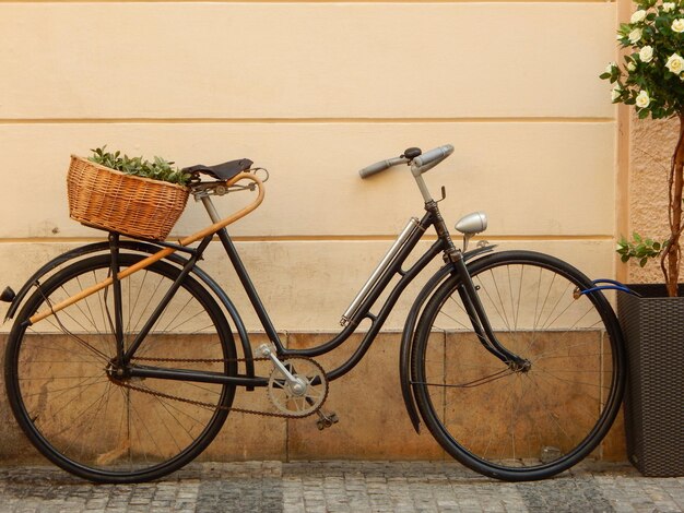 Foto bicicleta no cesto