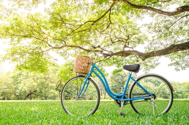 bicicleta en el parque verde