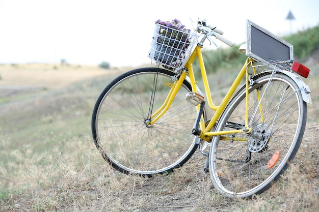 Bicicleta en la pradera durante la puesta de sol