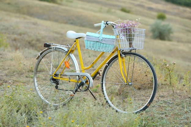 Foto bicicleta en la pradera durante la puesta de sol