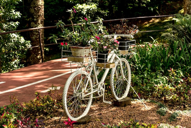 Bicicleta retro con flores en cesta en jardín