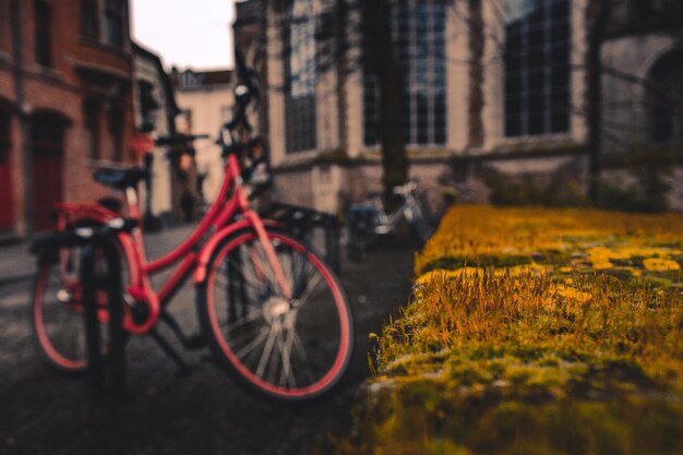 Foto bicicleta roja en la ciudad europea junto a la pared de musgo