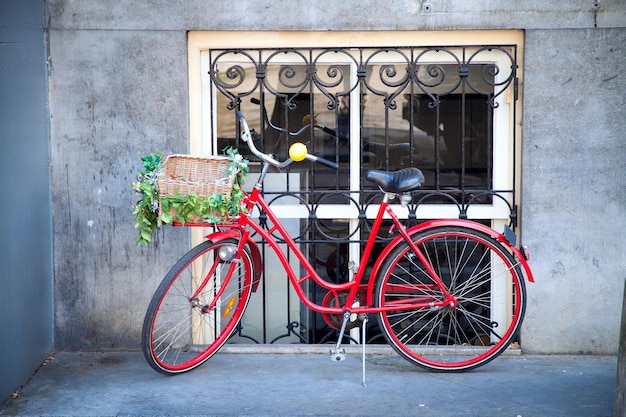 Bicicleta roja con sombra