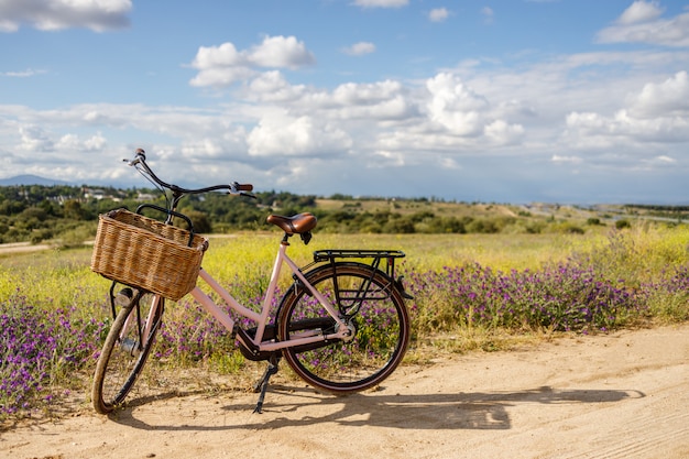 Bicicleta rosa con cesta en un hermoso campo lleno de flores