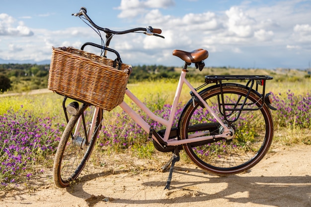 Bicicleta rosa com cesta no país em um dia ensolarado de primavera