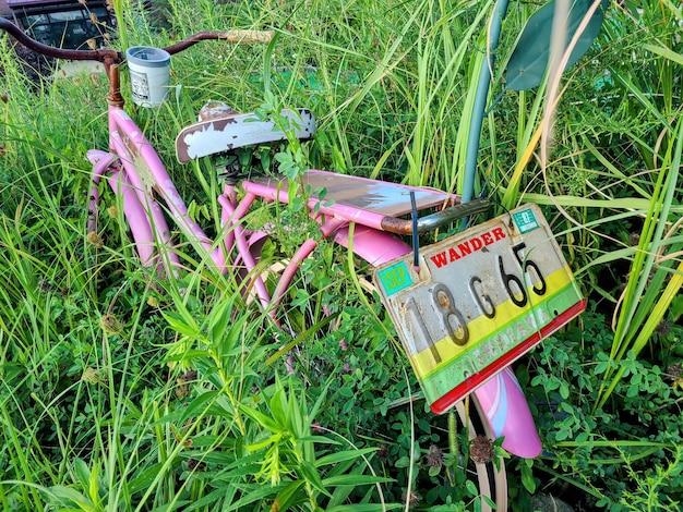 Bicicleta rosa cubierta de vegetación con placa WANDER en la hierba larga