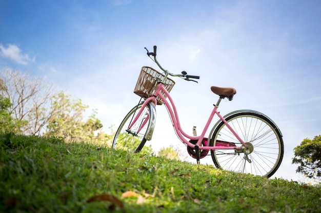 Bicicleta rosa no parque