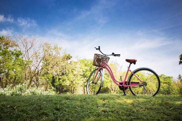 Bicicleta rosa en el parque