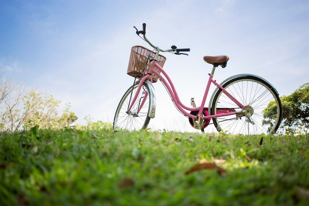 Bicicleta rosa en el parque