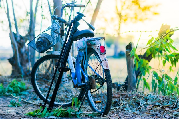 Bicicleta con trípode