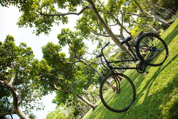 Bicicleta velha no parque.