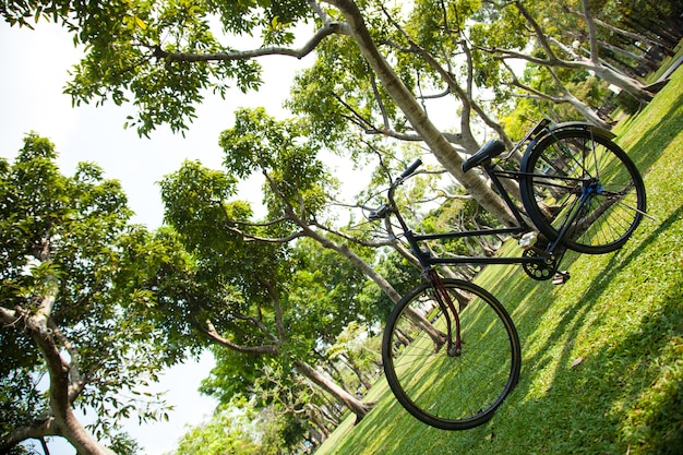 Bicicleta vieja en el parque.