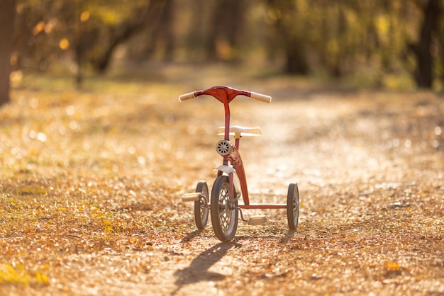 Bicicleta vintage al aire libre en el parque de otoño