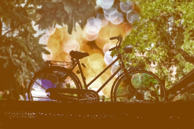 Bicicleta vintage de silhueta com natureza luz bokeh