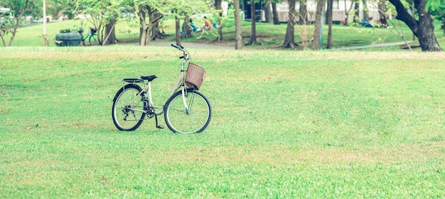 Bicicleta vintage na grama verde em um parque público em banguecoque, tailândia. fundo baner