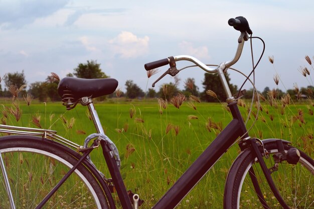 Bicicleta vintage no prado verde