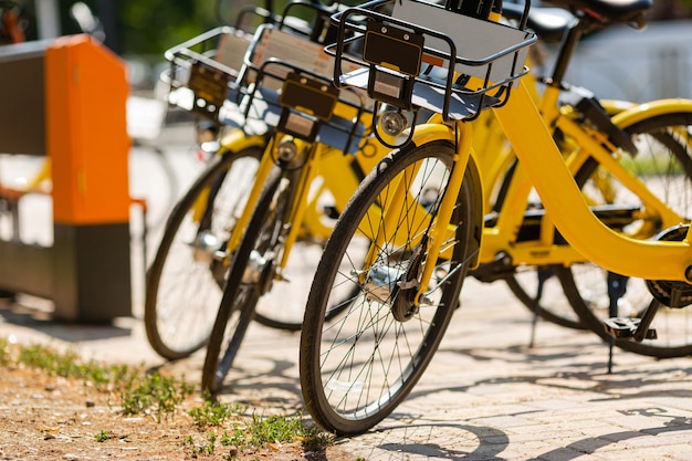 Bicicletas para alquilar en el estacionamiento de la ciudad.