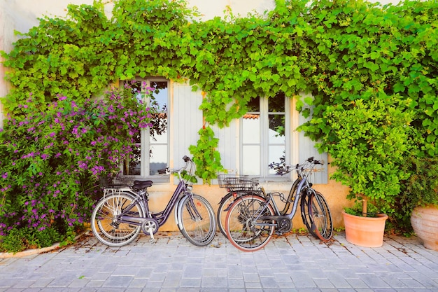 Bicicletas apoyadas en la pared cubierta con bayas de uvas y hojas