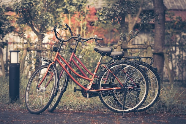 Bicicletas estacionadas contra las plantas en el parque